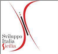 sviluppo italia