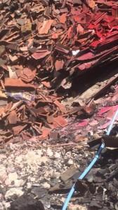 14194217_10208599364414970_1648034311_n